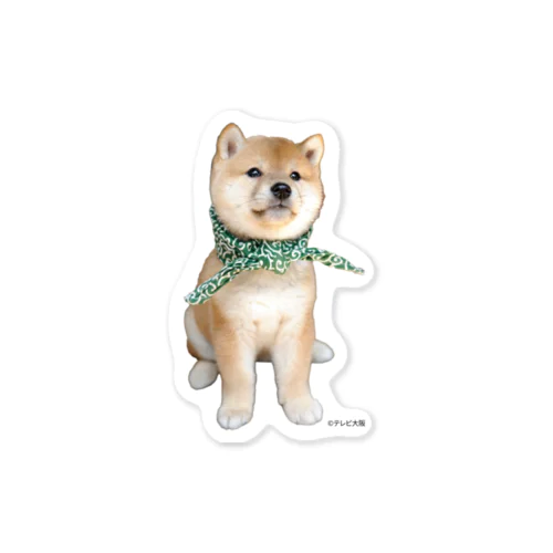 7代目豆助 その① Sticker