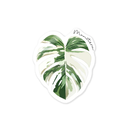 モンステラ　斑入り　単品 Sticker