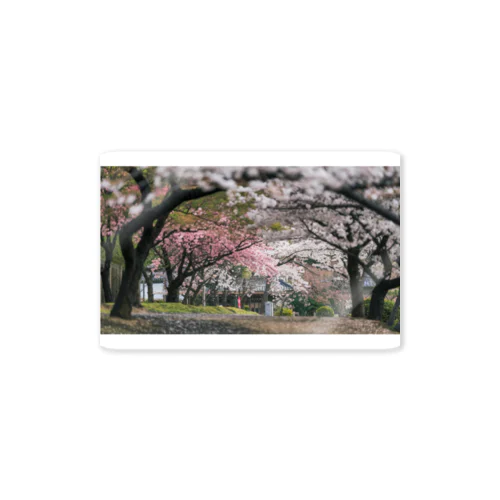 春の陽気 Sticker