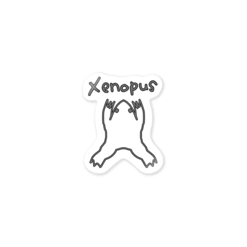 アフリカツメガエル（学名） Sticker