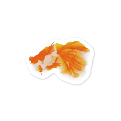 金魚ちゃん Sticker