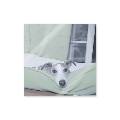 るりちゃんちのいぬすてっかー Sticker