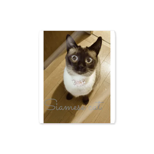Siamese cat シャム猫 Sticker