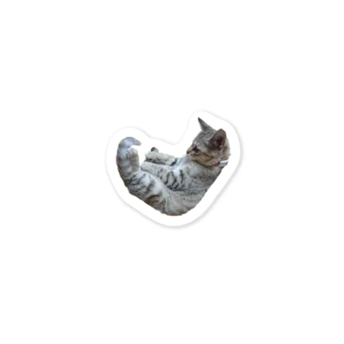 ちゃび Sticker