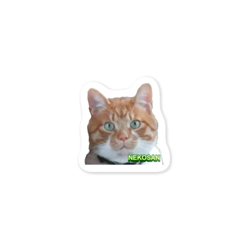 ひょっこり猫さんCOL. Sticker