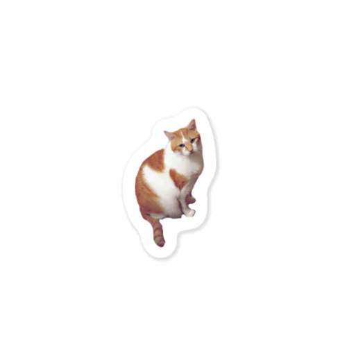 ねこのチャコちゃん Sticker