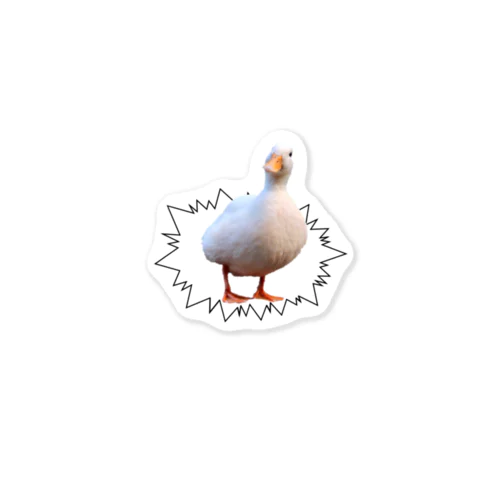 Kちゃん　登場 Sticker