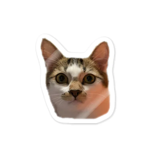 なにかいいたそうならくすけ Sticker