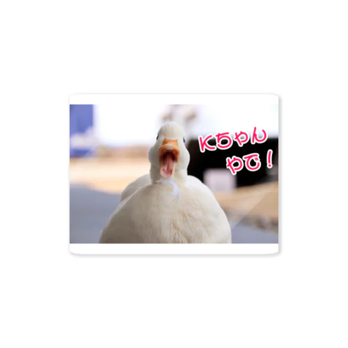 コールダックのKちゃんやで！② Sticker