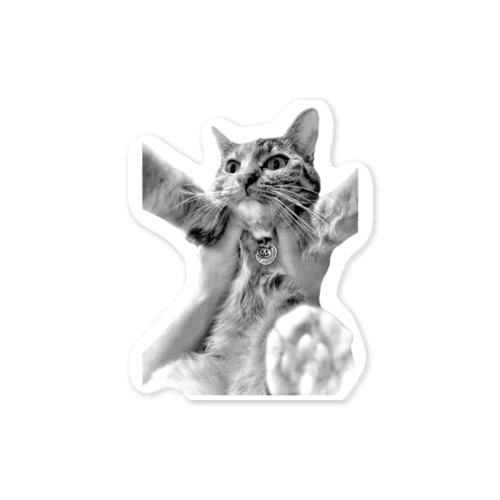 かぼちゃステッカー Sticker