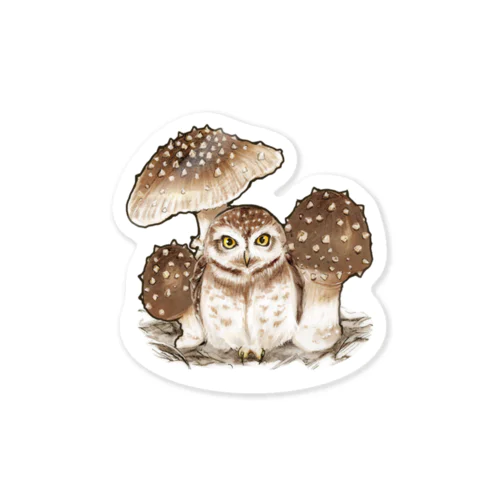 フクロウとキノコ Sticker