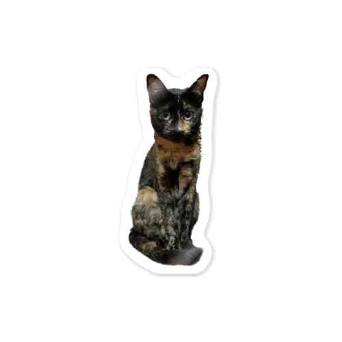 サビ猫のわさび Sticker