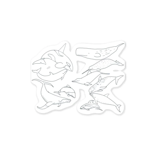 あなたの好きなイルカはなんですか？ Sticker
