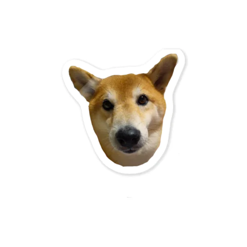 theしばいぬキッキ Sticker