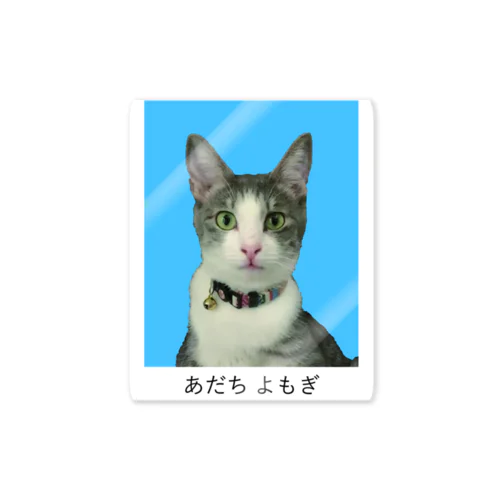 ねこさん証明写真 Sticker