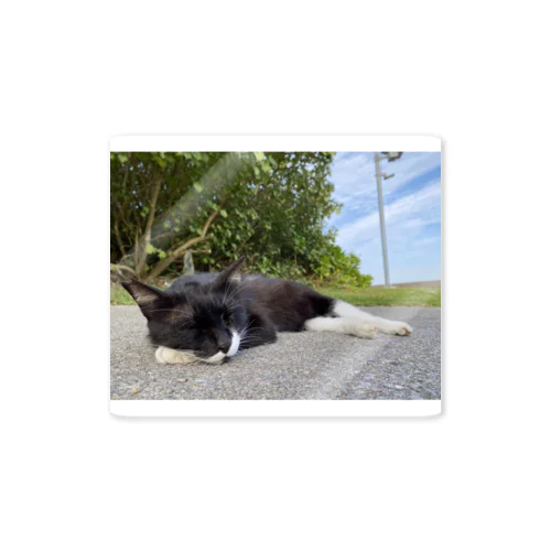 ねこねんね Sticker