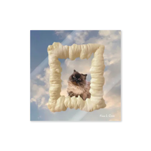 form sky cat Sticker