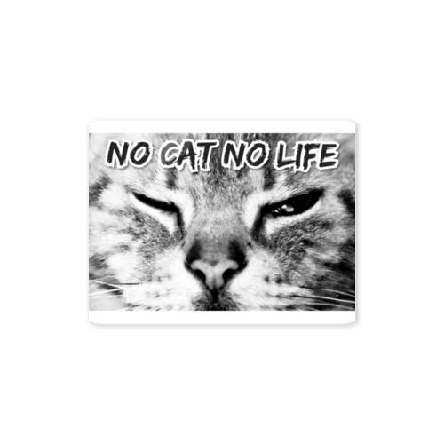 猫しかいらない Sticker