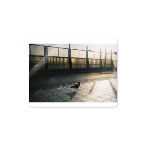 p-rint Sticker