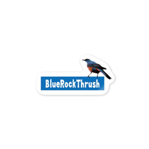 Blue Rock Thrush Sticker