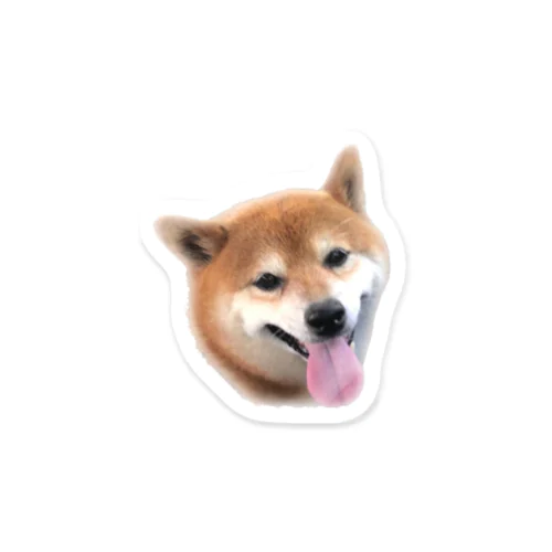 とらたすてっかー Sticker