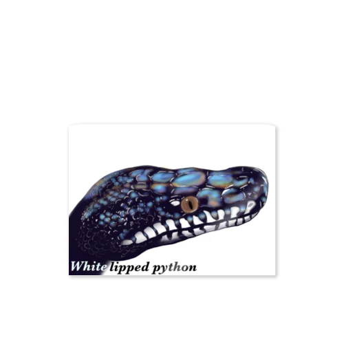 アルバーティスパイソン Sticker