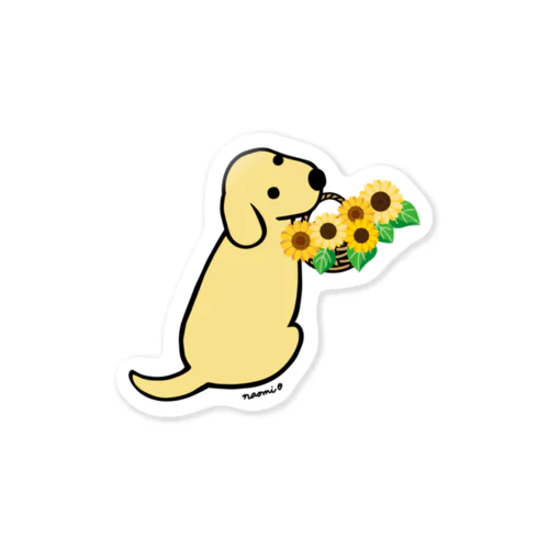 振り向くイエローラブラドールとひまわり Sticker