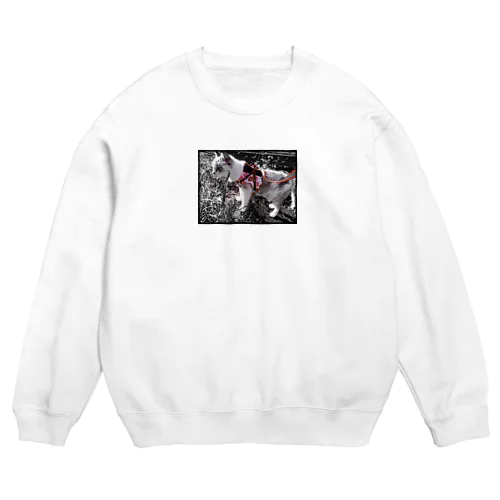 お散歩しおちゃん推定18才 Crew Neck Sweatshirt