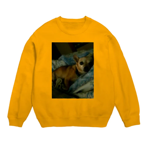 ポコ Crew Neck Sweatshirt