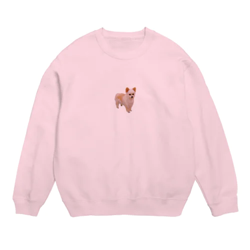 いぬぽっけ Crew Neck Sweatshirt