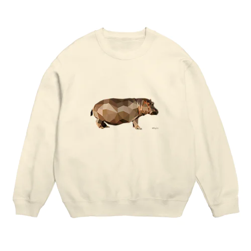 HIPO_polygon Crew Neck Sweatshirt