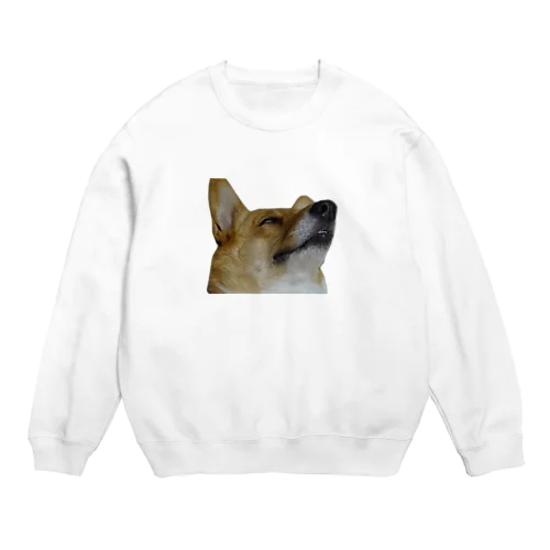 犬の寝顔 Crew Neck Sweatshirt