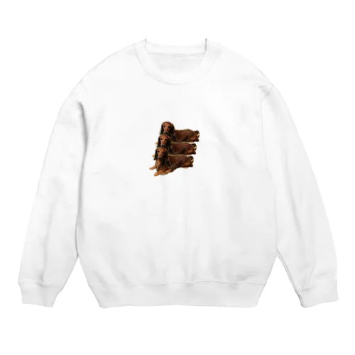 毛むくじゃらのお友達 Crew Neck Sweatshirt