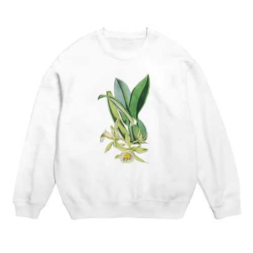 洋ラン＜ボタニカルアート＞ Crew Neck Sweatshirt