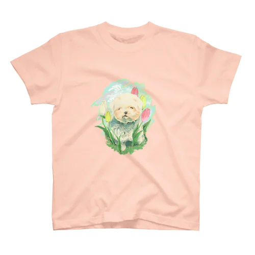 spring  Regular Fit T-Shirt