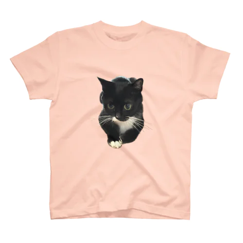 あずき　ノーマル Regular Fit T-Shirt