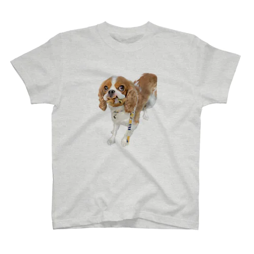 にっこりはっぱあるばーと Regular Fit T-Shirt