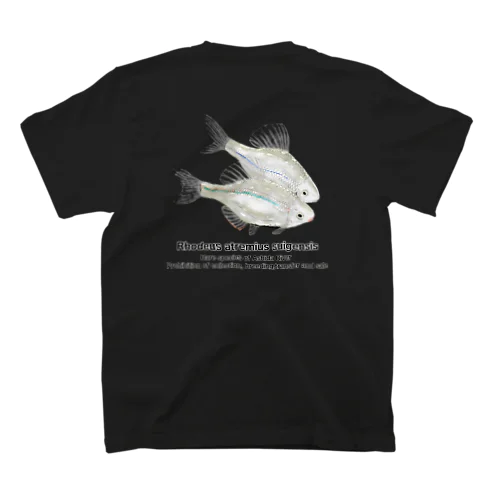 スイゲンゼニタナゴ(背面) Regular Fit T-Shirt