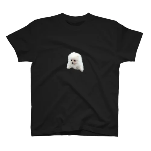 前を向くポメラニアン Regular Fit T-Shirt
