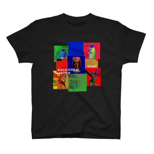 アセンデットマスター Regular Fit T-Shirt