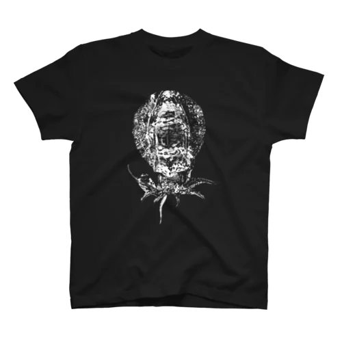 ikaT Regular Fit T-Shirt