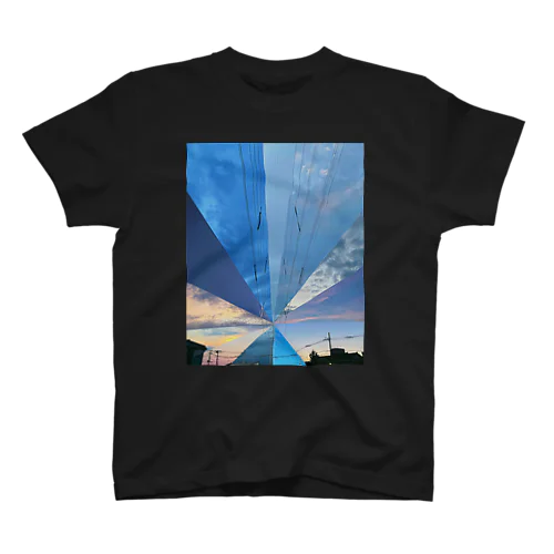Spectrum Regular Fit T-Shirt