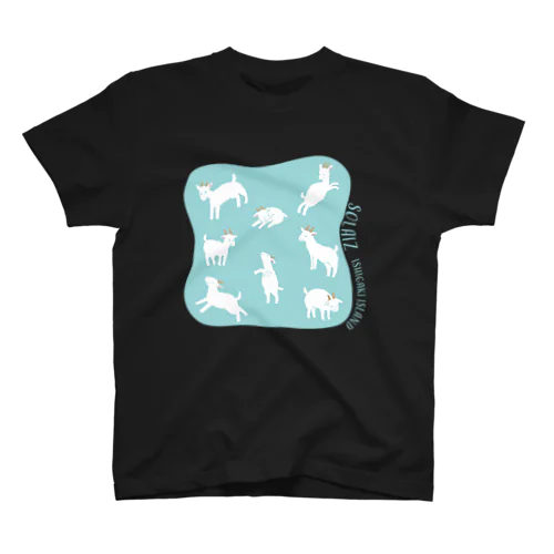 【ナギ＆ライトがいっぱい】水色　バック　SOLAIZ（白文字） Regular Fit T-Shirt