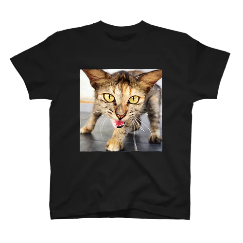 サビ猫スクリームTシャツ Regular Fit T-Shirt