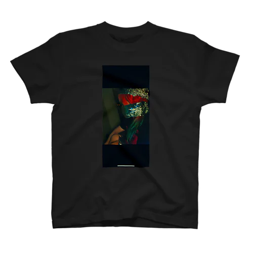 あるみほいる Regular Fit T-Shirt