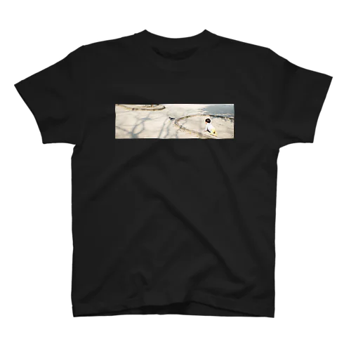 ＡＫＡＧＯ Regular Fit T-Shirt