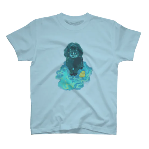 pool Regular Fit T-Shirt