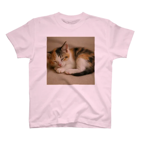 すやすや三毛子猫 Tシャツ Regular Fit T-Shirt
