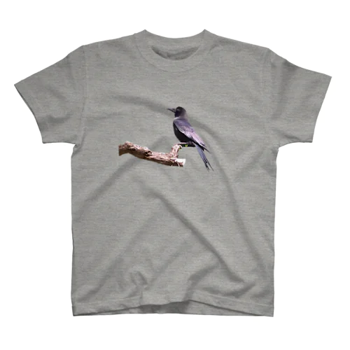 近所のカラスくん Regular Fit T-Shirt