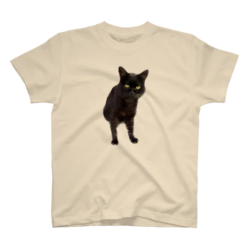 のらくろ Regular Fit T-Shirt